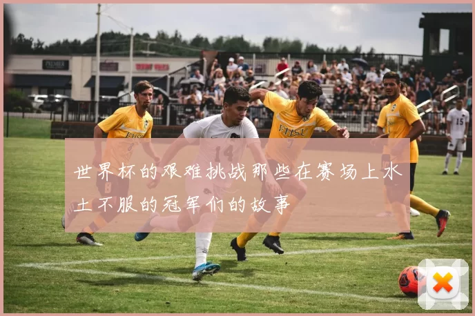世界杯的艰难挑战那些在赛场上水土不服的冠军们的故事